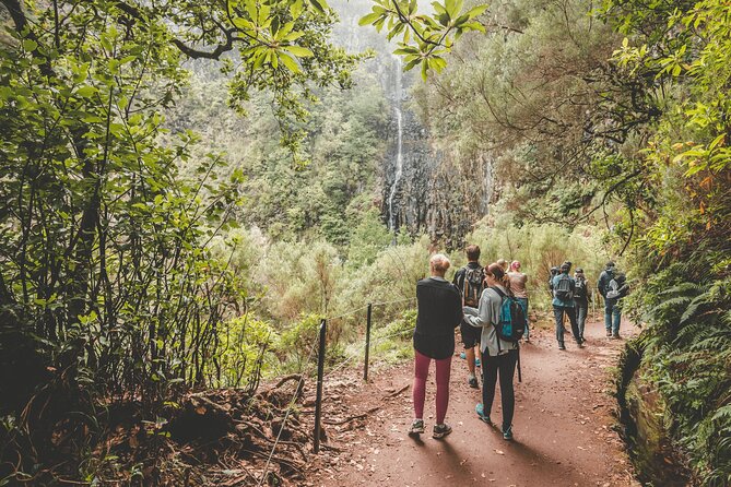 25 Fountains Levada: Hiking Tour in Madeira Rabaçal Valley (PR6) - The 800m tunnel: bring light and go steady at the finish