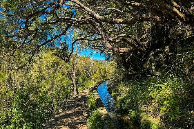 25 Fountains Levada: Hiking Tour in Madeira Rabaçal Valley (PR6) - Rain or shine: what to expect when Madeira decides to change the plan