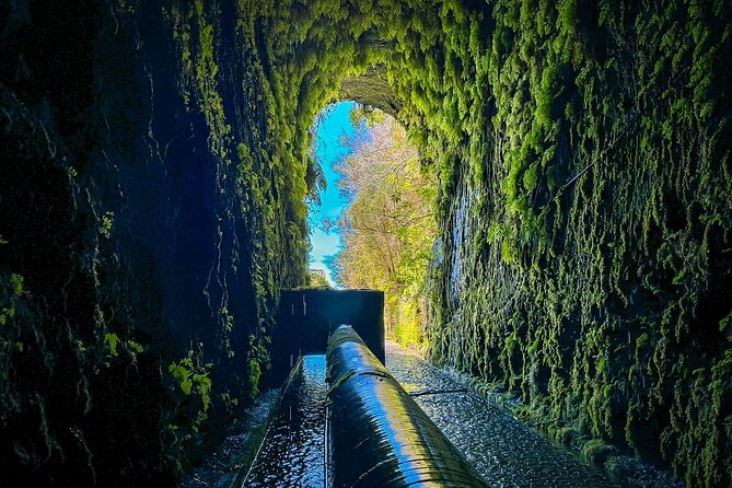 25 Fountains Levada: Hiking Tour in Madeira Rabaçal Valley (PR6) - What you pay for at $52.87: value, plus the extras you must plan for