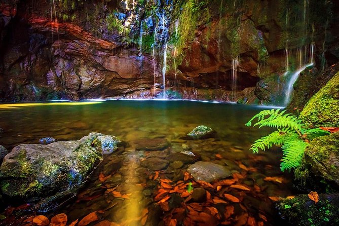 "25 Fountains" Walk / Lost In The Beautiful Forest - Quick hits before you go