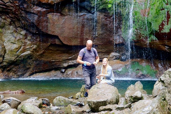 "25 Fountains" Walk / Lost In The Beautiful Forest - Reaching the levada of 25 springs: the main event