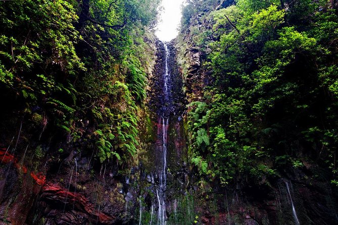 "25 Fountains" Walk / Lost In The Beautiful Forest - The tunnel on the return: the one detail that changes everything