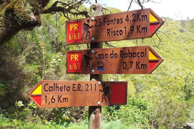 "25 Fountains" Walk / Lost In The Beautiful Forest - The return walk: downhill first, uphill last