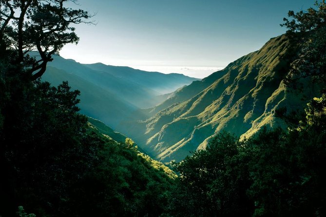"25 Fountains" Walk / Lost In The Beautiful Forest - Crowd reality on a popular Madeira levada