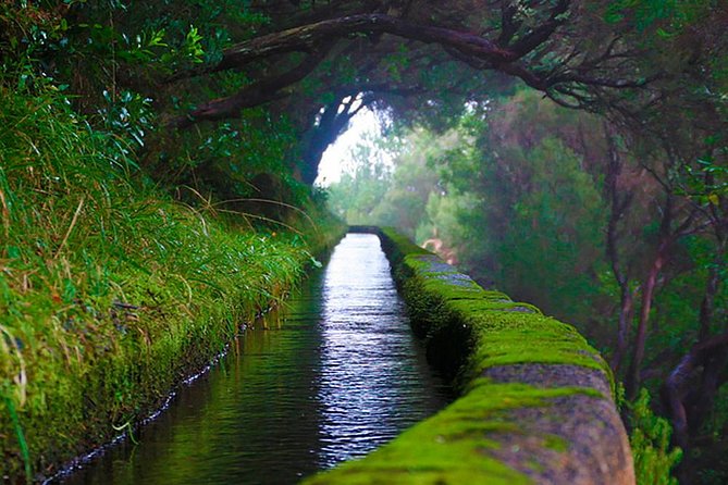 "25 Fountains" Walk / Lost In The Beautiful Forest - Stop 1: Risco waterfall and the Rabaçal lead-in