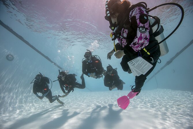 3 days Open Water Course | Scuba Diving - Funchal’s setup for SSI Open Water in Madeira