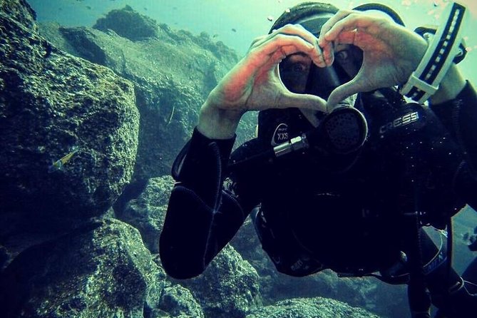 3 days Open Water Course | Scuba Diving - Timing and where to meet in Funchal