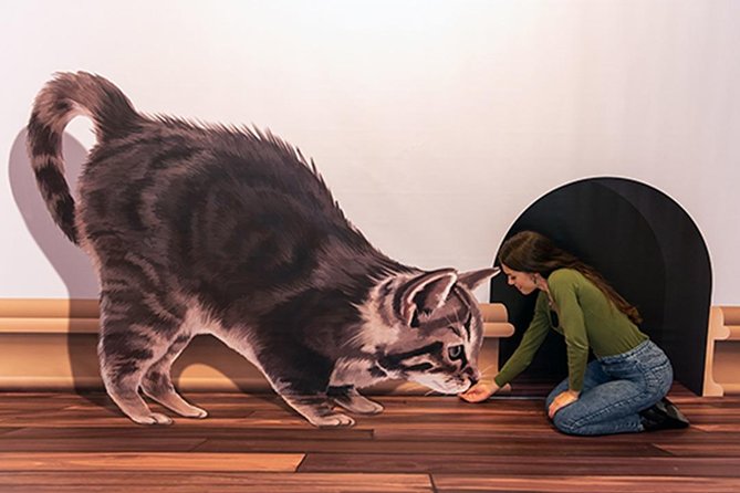 3D Fun Art Museum Funchal - What the 3D Fun Art Museum Feels Like in Real Life