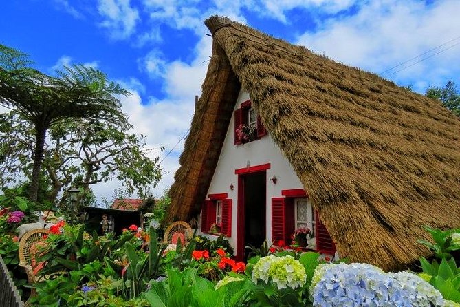 4x4 Full-Day Tour to Explore Portugal's Scents and Flavors - Why this 4x4 tour feels different from a bus day