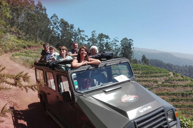 4x4 Safari Half day Poncha, Mountains, Vineyards and Cabo Girão Small group - Porto de Câmara de Lobos: Fishing, Banana Farming, and Everyday Life