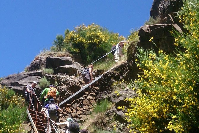 Achadas Teixeira- Pico Ruivo -& Pico pedras/Queimadas forest walk - Guides and Group Experience: Safety, Energy, and Nature Stories