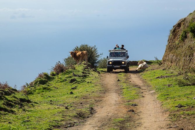 Amazing West - Jeep Safari Tour - Full Day - Shared Tour - Key highlights at a glance