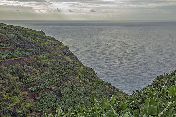 Amazing West - Jeep Safari Tour - Full Day - Shared Tour - Pickup timing in Funchal, Caniço, Garajau, and beyond