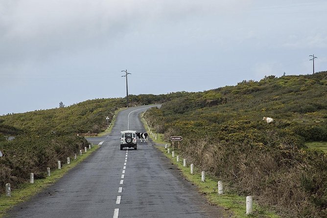 Amazing West - Jeep Safari Tour - Full Day - Shared Tour - The 1,400-meter plateau stop: views above the clouds