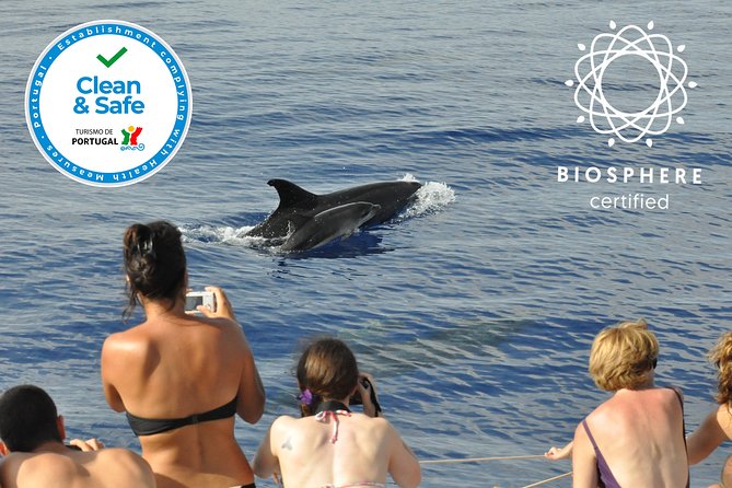 Arieiro Peak and Cristo Rei 4x4 Experience + Dolphins Watching - Stop 3: Miradouro do Cristo Rei do Garajau for panoramic views and history