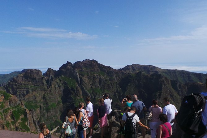 Arieiro Peak and Cristo Rei 4x4 Experience + Dolphins Watching - The gap between tours: timing from 1:30 pm to 3:00 pm