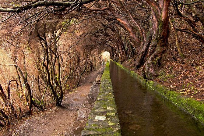 Beautiful walks in Rabaçal, Madeira - Key highlights worth planning for
