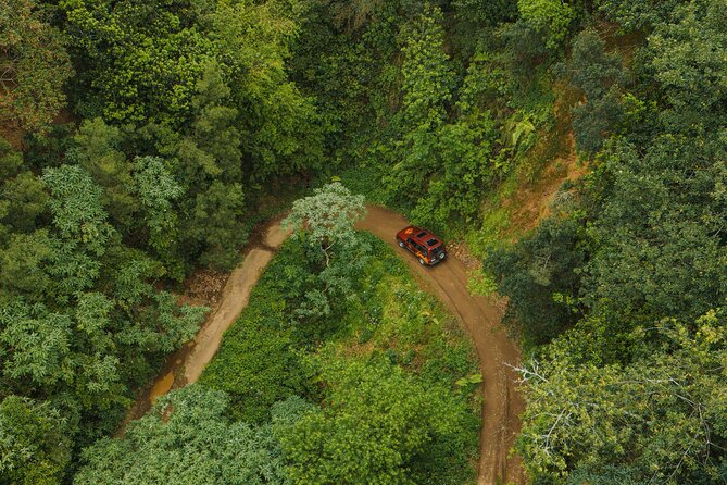 Bespoke adventure in Madeira with pick-up - Guides Nelson, Marcos, Rafael, and Marco Make the Difference