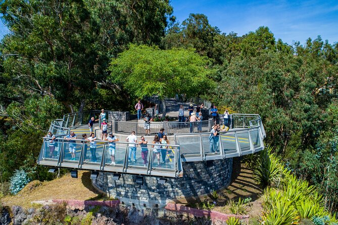 Bestselling Wine Tour, Tasting Experience & Skywalk 4x4 Adventure - Price and add-on costs: the real total in your budget