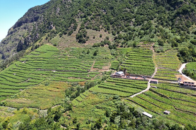Bestselling Wine Tour, Tasting Experience & Skywalk 4x4 Adventure - São Vicente and Serra de Água: why the jeep route feels like Madeira