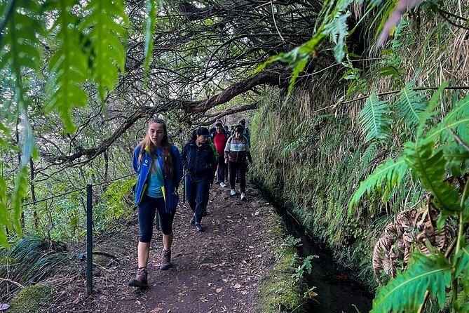Caldeirão Verde Levada (PR 9) - Guided Madeira Levada Walk - Getting to the start near Queimadas Forest Park (980 m)