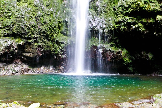 Caldeirão Verde Levada (PR 9) - Guided Madeira Levada Walk - The Caldeirão Verde payoff: emerald lagoon, waterfall area, and photo strategy