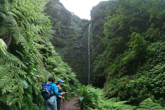 Caldeirão Verde Levada (PR 9) - Guided Madeira Levada Walk - Tunnels, narrow paths, and what your feet should expect