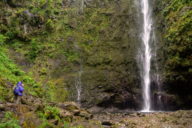Caldeirão Verde Levada (PR 9) - Guided Madeira Levada Walk - Price and what’s included in your $55 hike