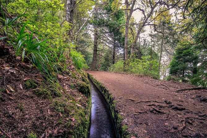 Caldeirão Verde Levadas Walk in Madeira - What you really pay for: the $52.86 value equation