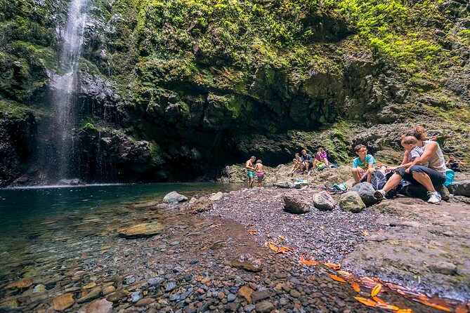 Caldeirão Verde Levadas Walk in Madeira - Waterfalls, caves, and why the route can feel both easy and tricky