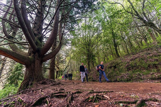 Caldeirão Verde Levadas Walk in Madeira - UNESCO-national-park scenery: what makes it more than just pretty