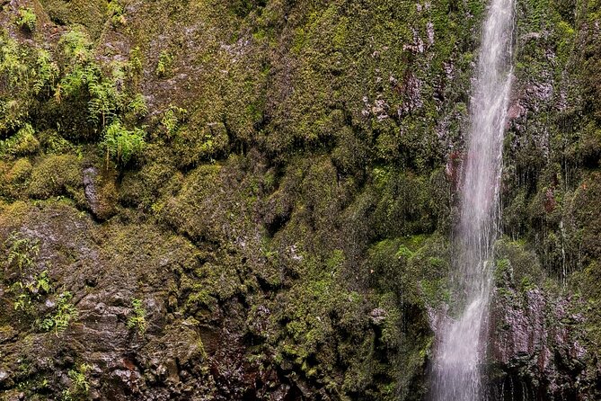 Caldeirão Verde Levadas Walk in Madeira - The guide experience: Bruno, Marta, Sergio, Gloria, and Emanuel