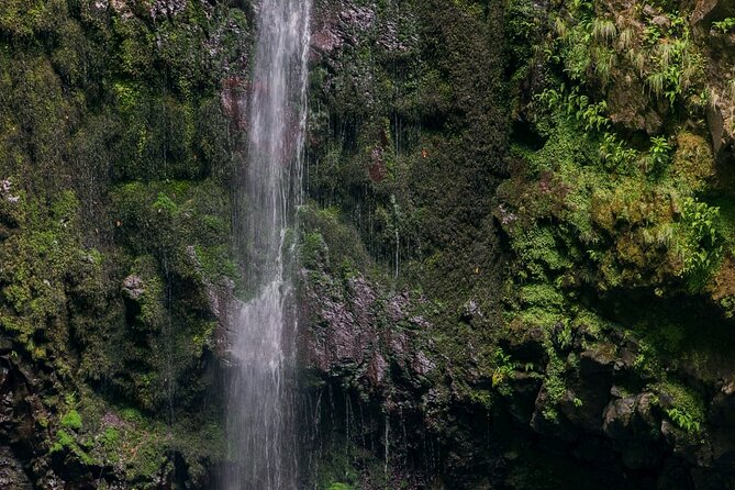 Caldeirão Verde Levadas Walk in Madeira - Pace and photos: what to expect on a timed schedule