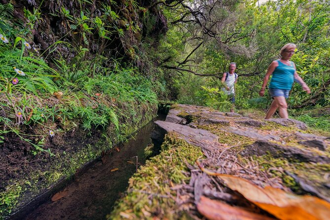 Caldeirão Verde Levadas Walk in Madeira - What to bring: shoes, light, and weather-proofing