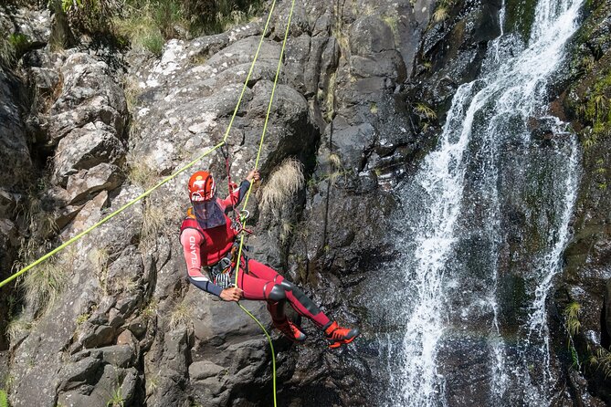 Canyoning in Madeira: Ideal for Beginners and Families - Price and value: what $80.45 covers and why it makes sense