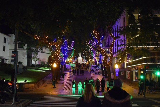 Christmas Lights Tukxi Tour (price per tukxi - up to 5 people) - Price and what you actually get for $93.09