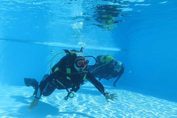 Discover Scuba Diving or Try dive - A Madeira Scuba Try Session With a Private Instructor