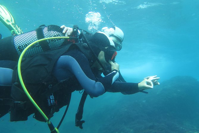 Discover Scuba Diving or Try dive - Price and Value at $86.88 per Person
