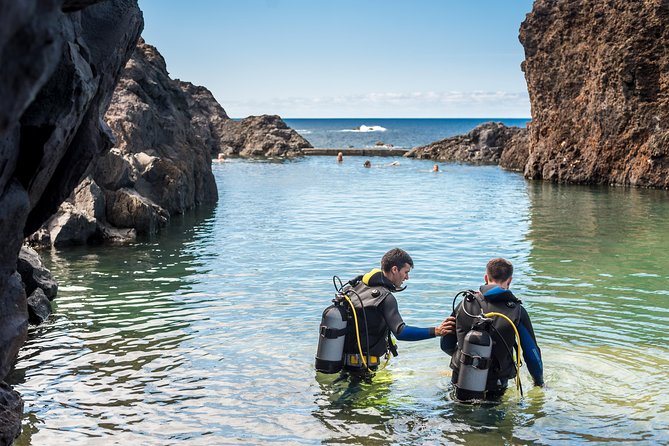 Diving in the Madeira Aquarium - Location and Getting There: Porto Moniz Is the Point
