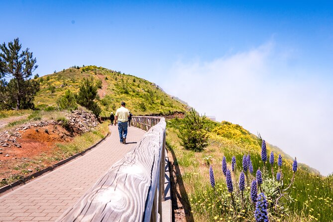 East of Madeira | Full Day 4x4 Tour - Ribeiro Frio: drive past crowds, focus on the trout farm area