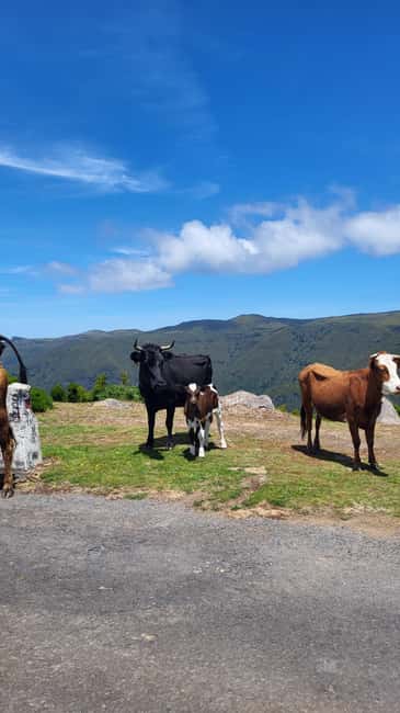 East Side of Madeira – Elegant Alternative to 4x4 Adventures - Ponta de São Lourenço: the rugged finale