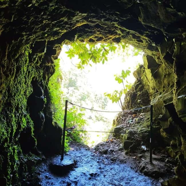 East Side of Madeira – Elegant Alternative to 4x4 Adventures - Price and value: is $70 for 7 hours a fair deal?