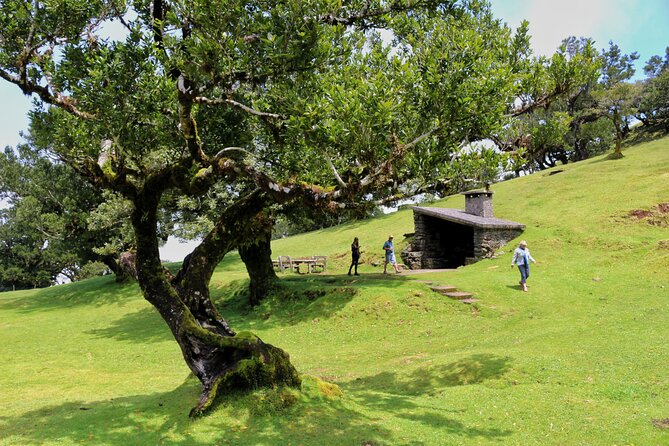 Exploring new Northwest frontiers: Beyond Madeira in 4x4 tour - Véu da Noiva and São Vicente: waterfall drama, then a quiet town