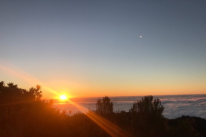 Fanal Forest Private Sunset Hike - Private guide, small group, and the off-trail advantage