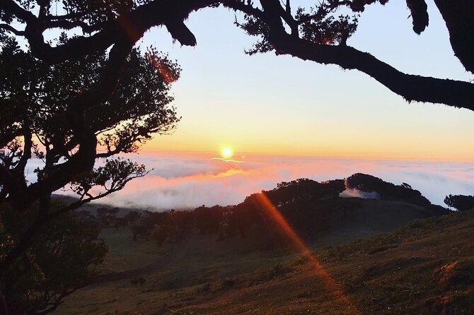 Fanal Forest Private Sunset Hike - Price and value: is $90.11 per person worth it?