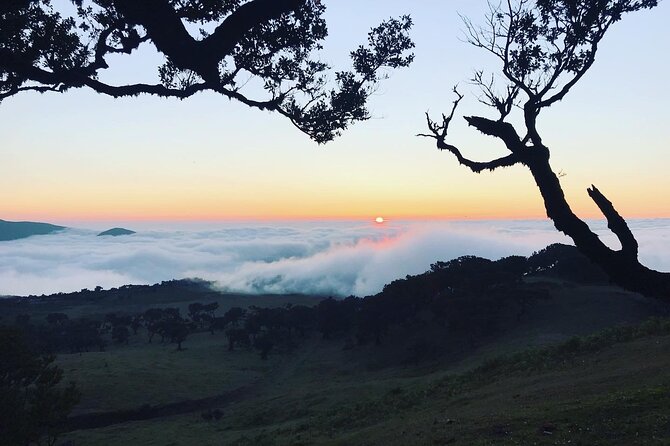 Fanal Forest Private Sunset Hike - The 7 km walk through the forest: what it feels like on the ground