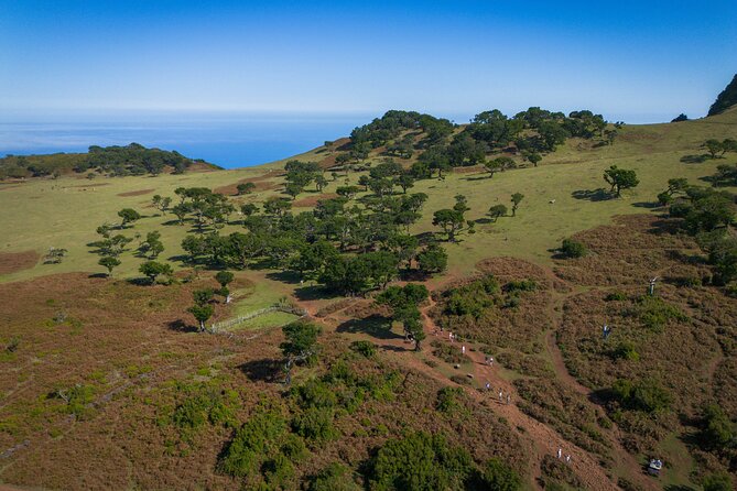 Fanal & Porto Moniz - West Madeira Tour - Eira da Achada lookout: quick panoramic payoff