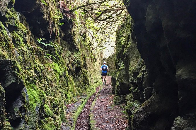 Folhadal Hidden Treasures Running Tour (Moderate) - UNESCO Laurissilva running: the experience most people miss