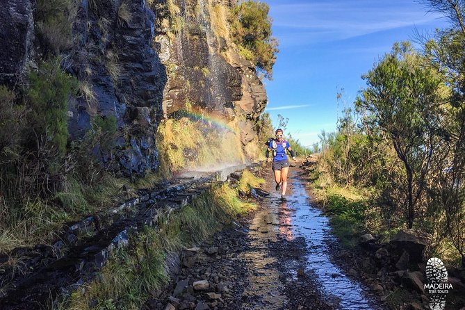 Folhadal Hidden Treasures Running Tour (Moderate) - Finishing the last 3 km: road running, downhill recovery, and views