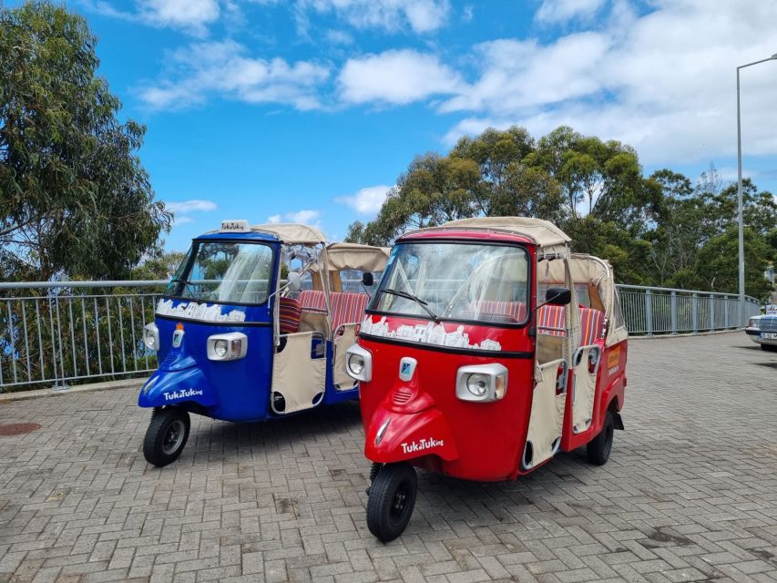 From Funchal: Tuk Tuk Tour to Camara de Lobos and Cabo Girao - Banana Trees and Vineyard Views: The Quiet “Madeira” Between Stops